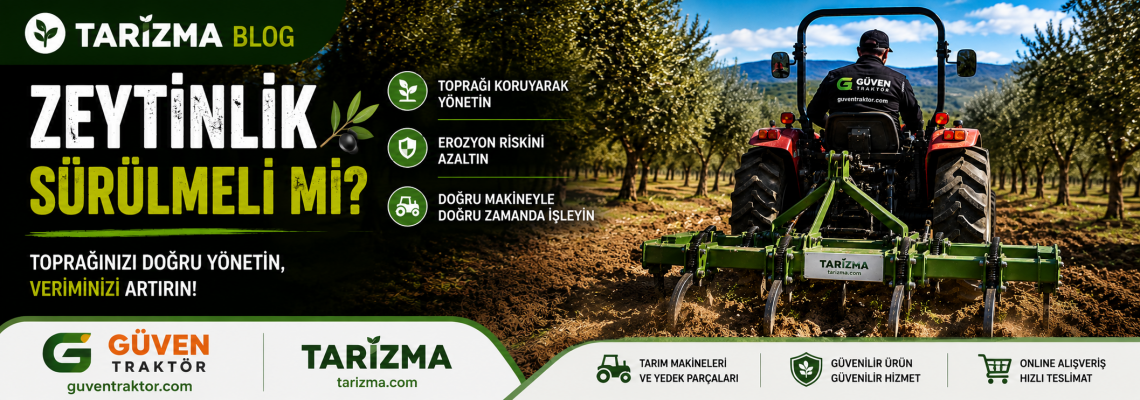 Zeytinlik Sürülmeli mi? Zeytinlikte Toprak İşlemek Doğru mu? | Tarizma