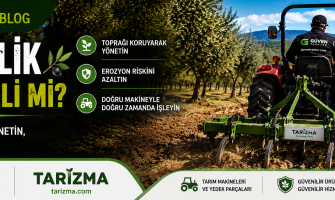 Zeytinlik Sürülmeli mi? Zeytinlikte Toprak İşlemek Doğru mu? | Tarizma